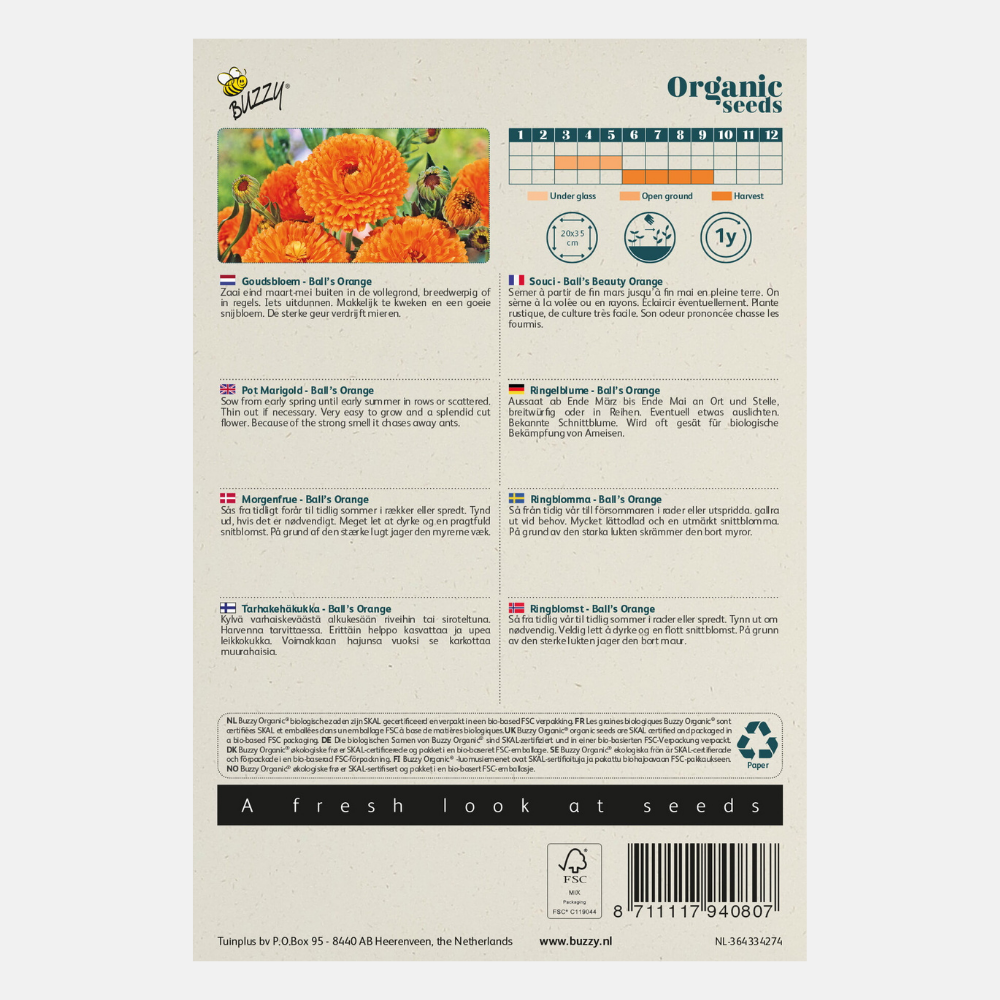 Calendula – Souci 'Ball's Orange' BIO