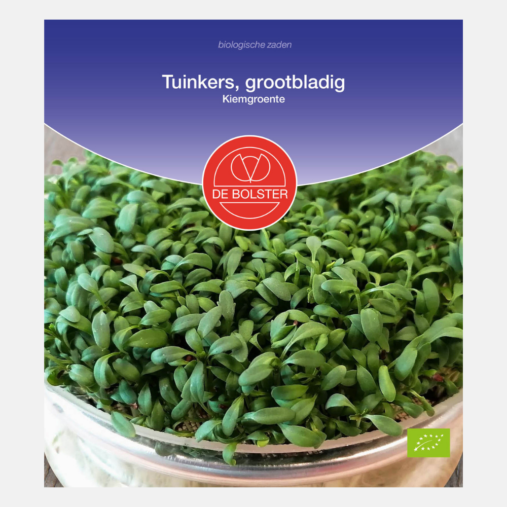 Cresson à grandes feuilles - Germes biologiques