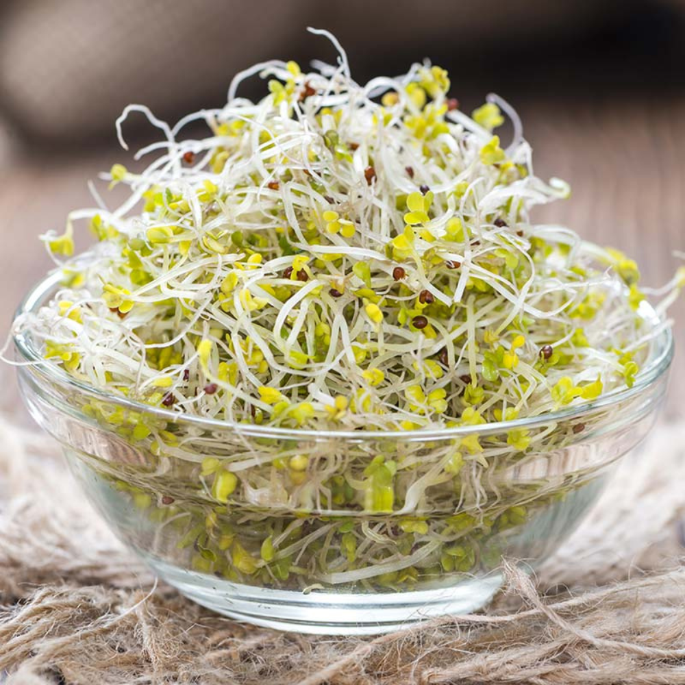 Brocoli cerise - Pousses biologiques