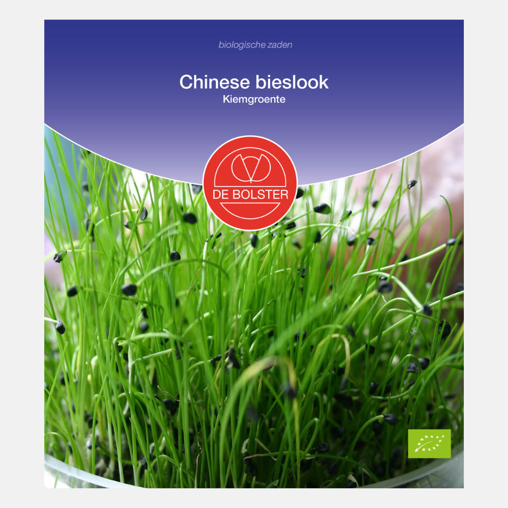 Ciboulette chinoise - Pousses bio