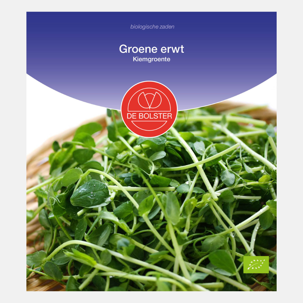 Petit pois - Pousses biologiques