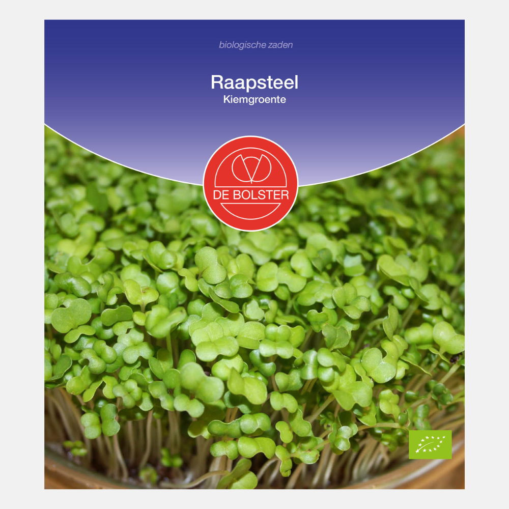 Feuilles de navet - Pousses biologiques