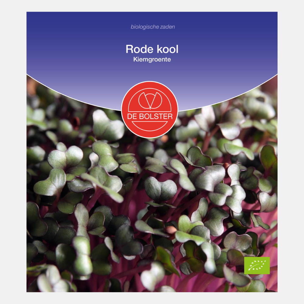 Red cabbage - Sprouts BIO