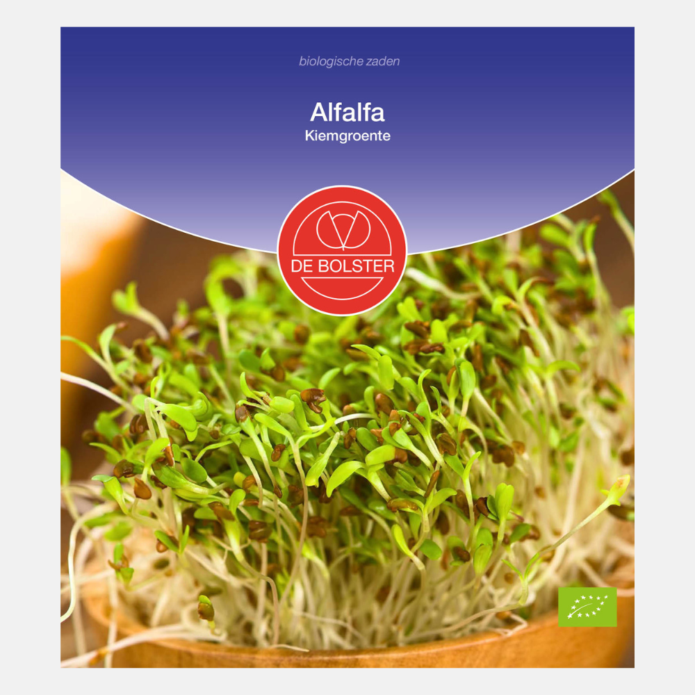 Luzerne - Légumes à germer BIO