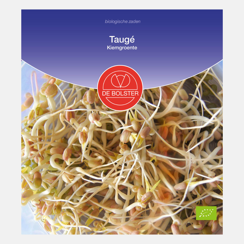 Germes de soja - Légumes à germer BIO