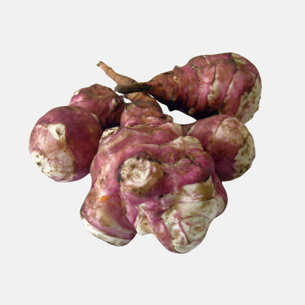 Topinambour (Helianthus tuberosus) - 5 tubercules