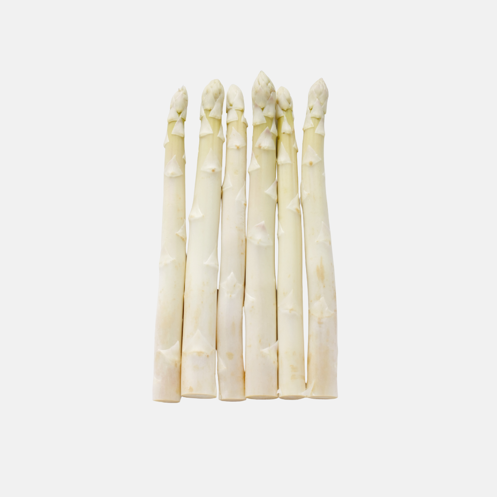 White asparagus 'Grolim' BIO