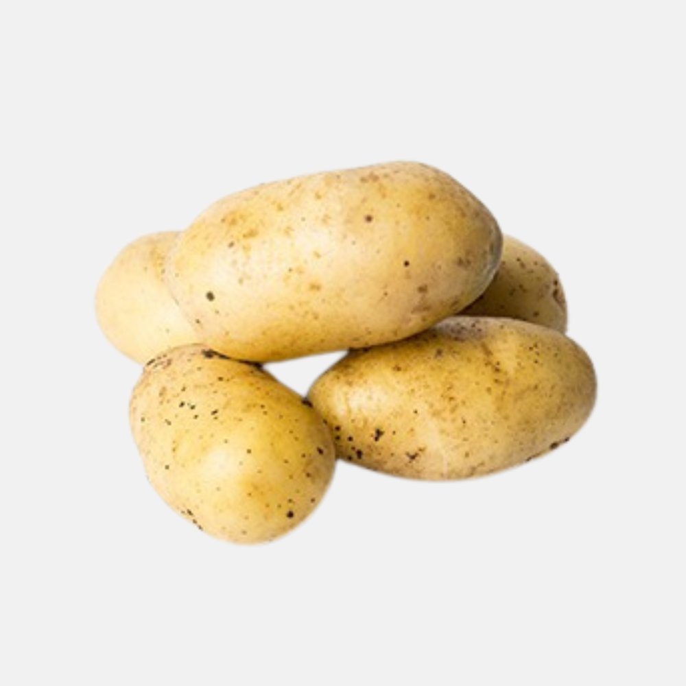 Plant BIO Pomme de Terre Annabelle 28/32 précoce - Culture compacte très précoce (choisir le poids)