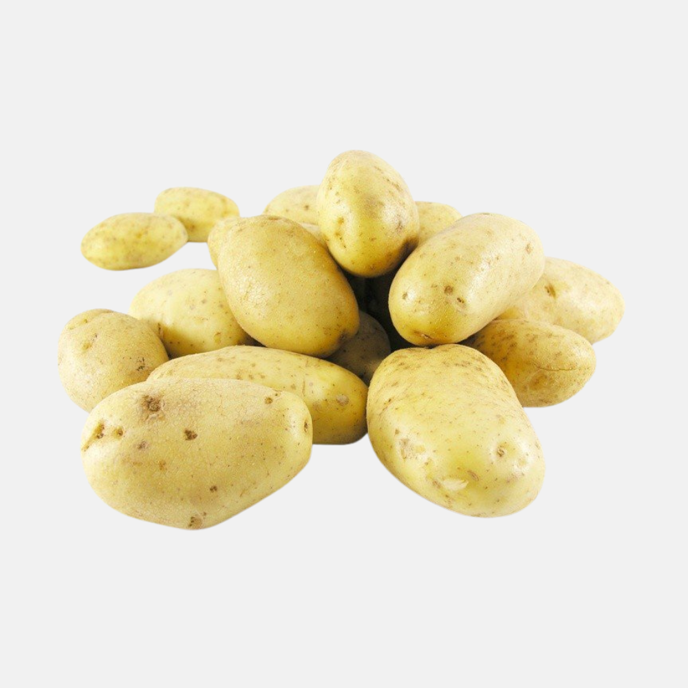 Plant BIO Pomme de Terre Annabelle 28/32 précoce - Culture compacte très précoce (choisir le poids)