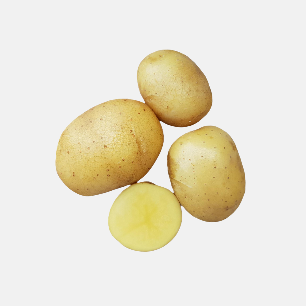 Plant BIO Pomme de Terre Annabelle 28/32 précoce - Culture compacte très précoce (choisir le poids)