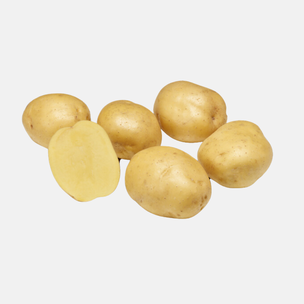 Plant BIO Pomme de Terre Annabelle 28/32 précoce - Culture compacte très précoce (choisir le poids)