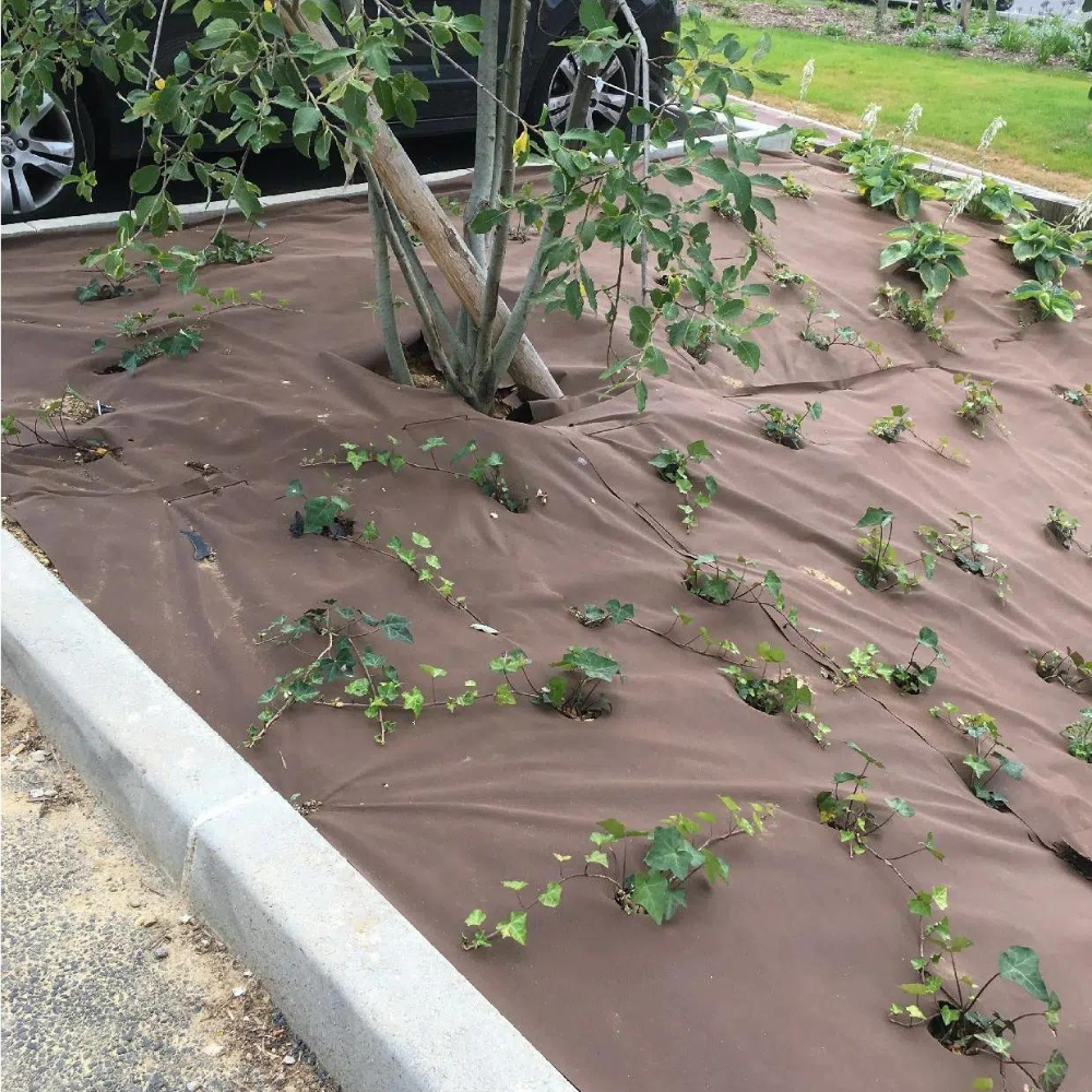 Géotextile/toile anti-racines de 1,05 mètre de large (longueur variable)