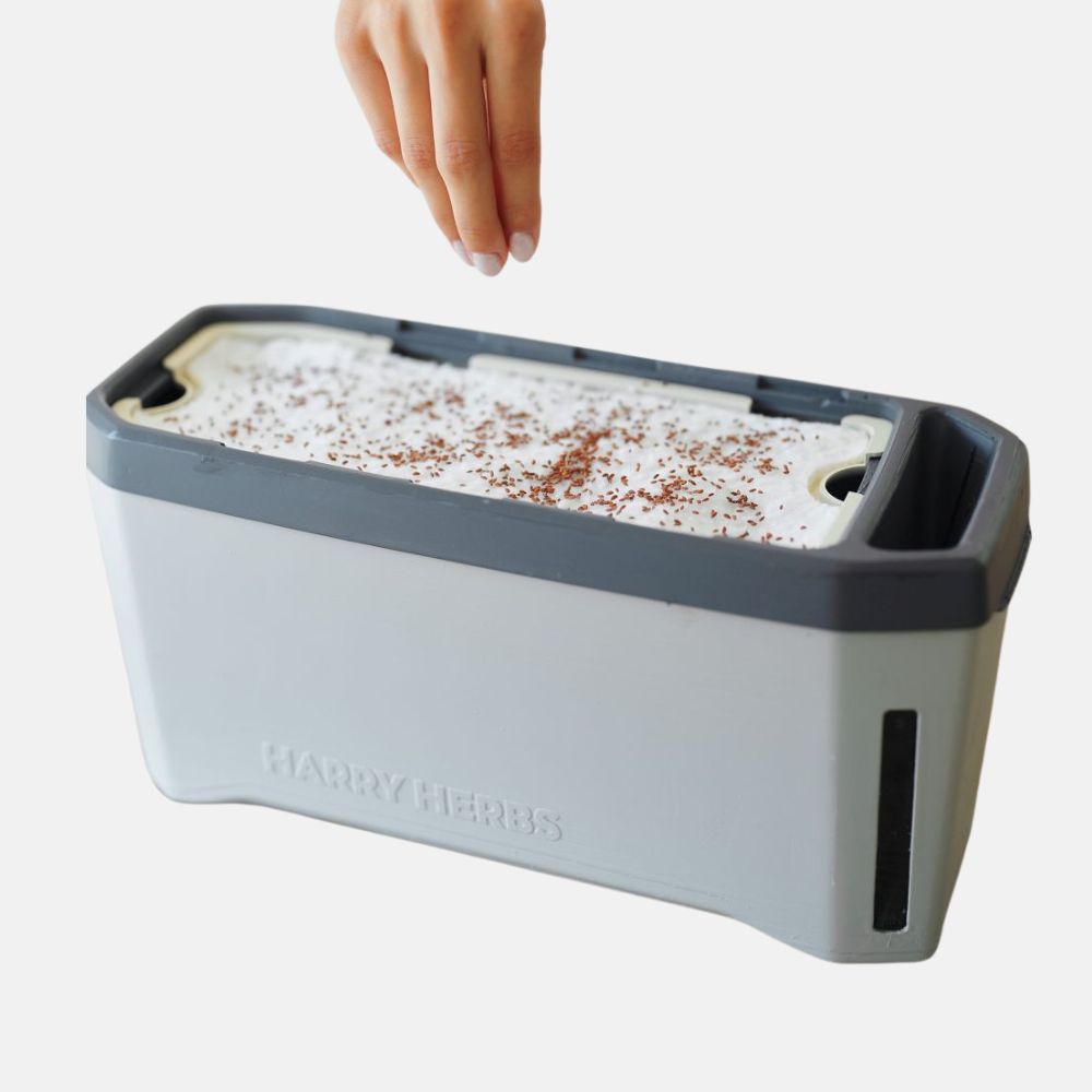 Harry Herbs - Coffret de recharge de pousses