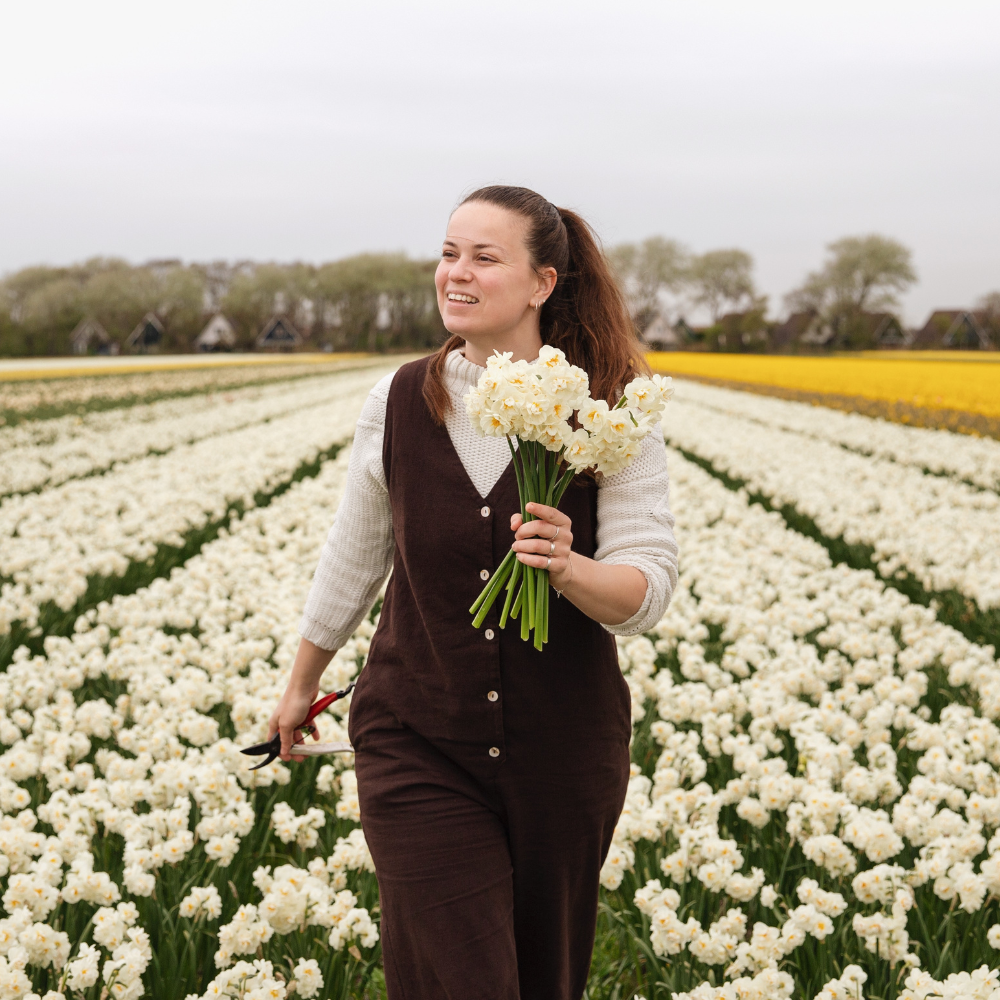 Narcis 'Bridal Crown' BIO
