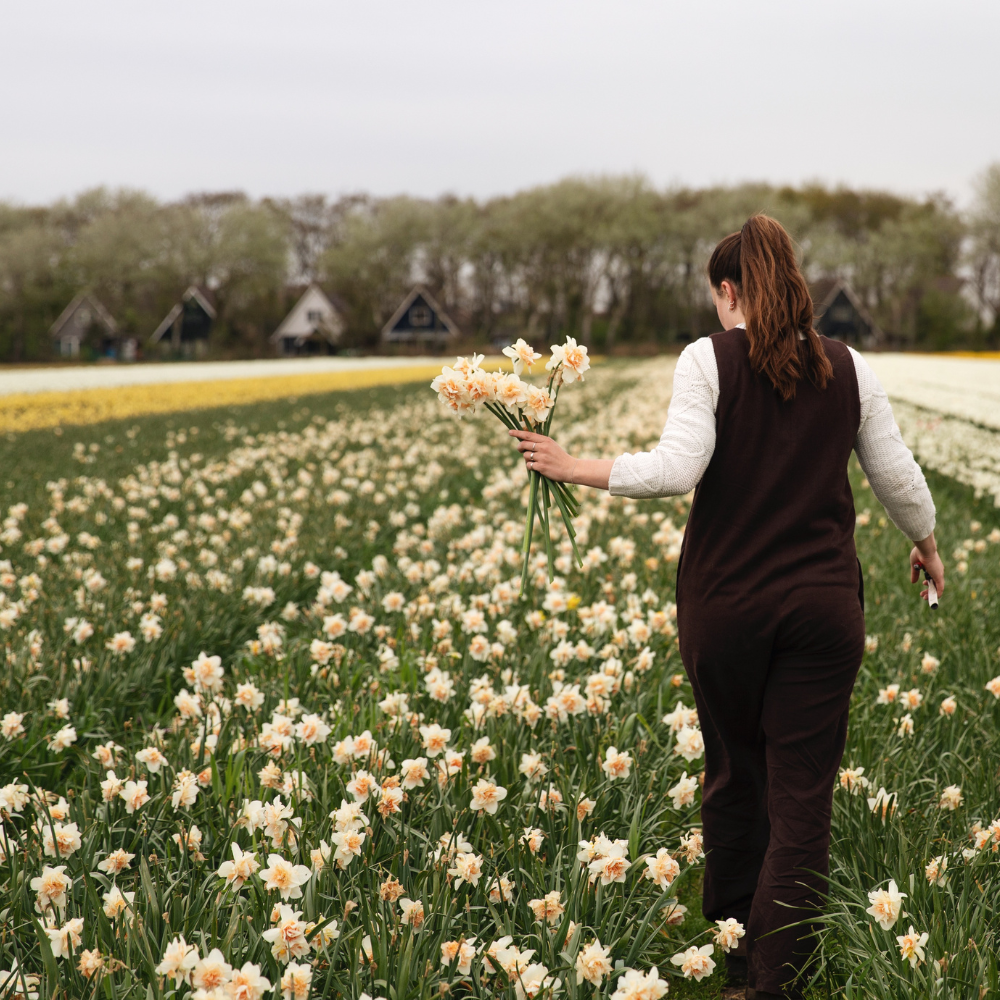 Narcis 'Replete' BIO
