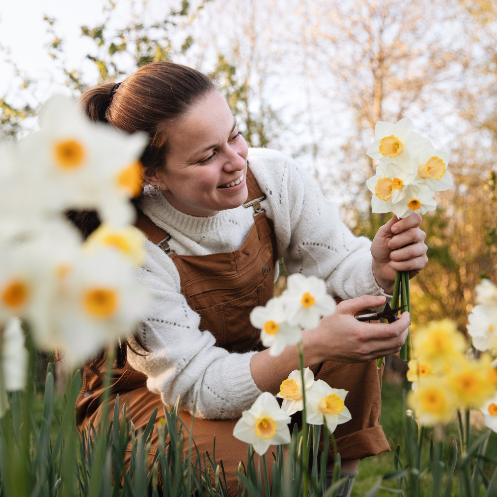 Narcis 'Salomé' BIO
