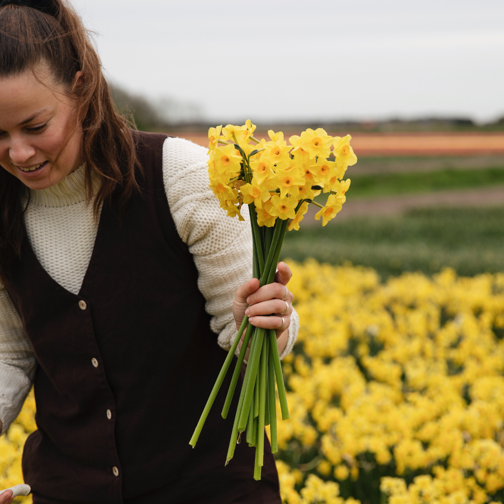 Narcis 'Martinette' BIO