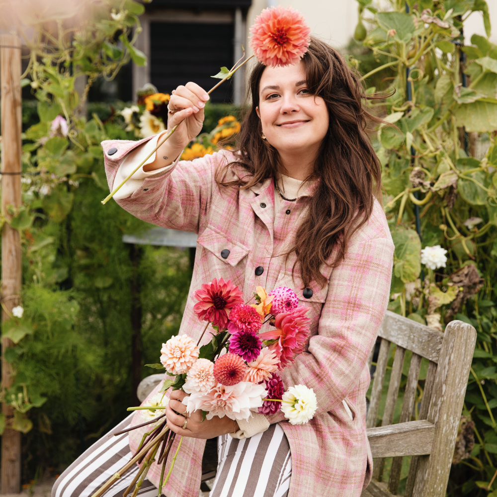 Coffret de dahlias « Les 11 préférés de Nina »