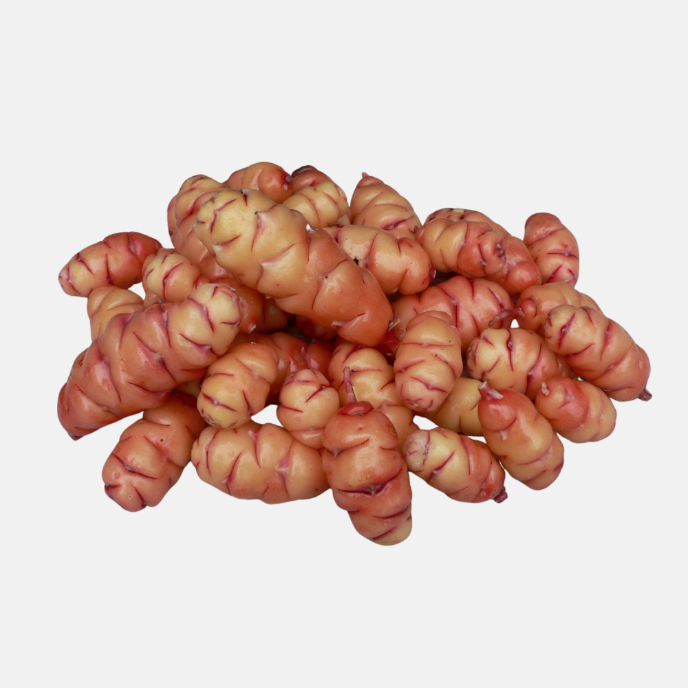 Oca (Oxalis tuberosa) - 10 tubercules