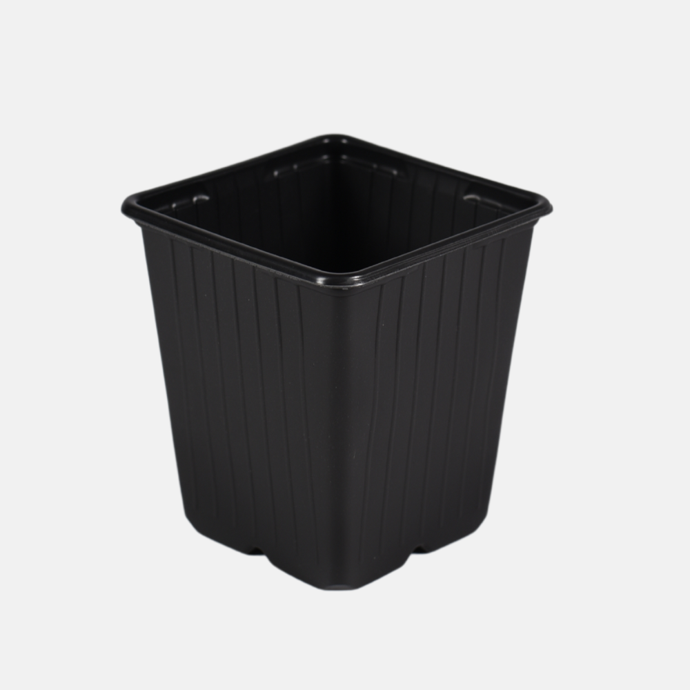 Pots P9 en plastique souple (choisir la quantité)