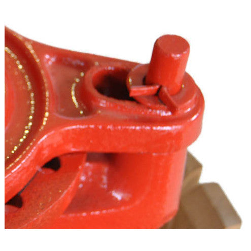 Fruit press with jack system 5 liters (ø 15 cm) tiltable