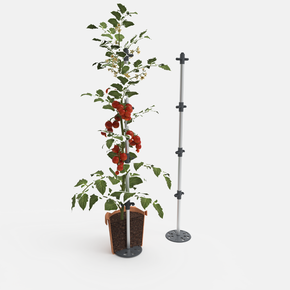 Tom Tomato - Support d'escalade stable