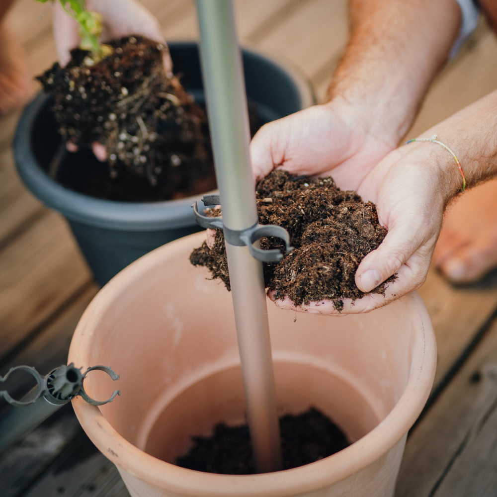 Tom Tomato - Support d'escalade stable