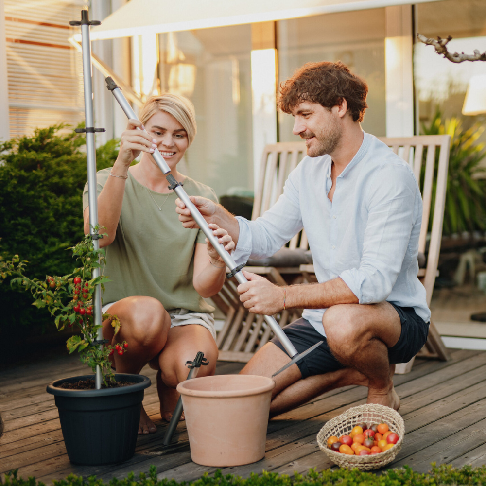 Tom Tomato - Support d'escalade stable