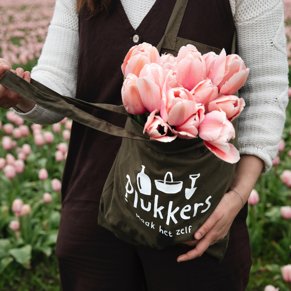 Tulp 'Salmon Impression' BIO