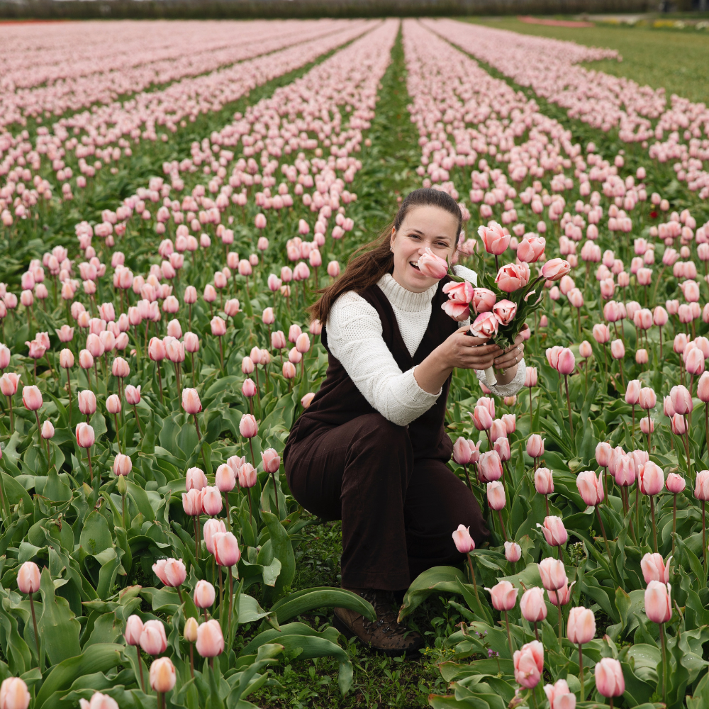 Tulp 'Salmon Impression' BIO