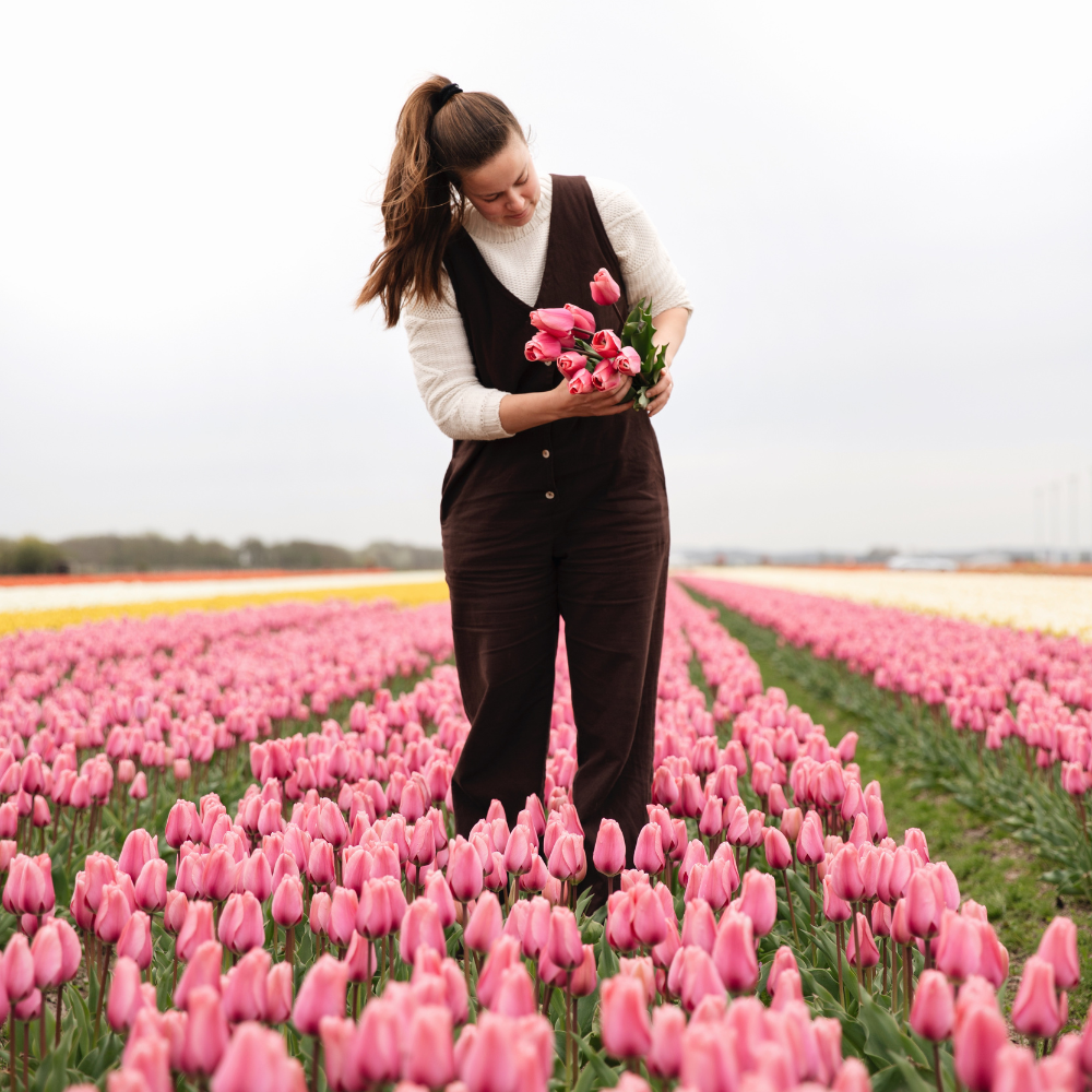 Tulp 'Big Love' BIO