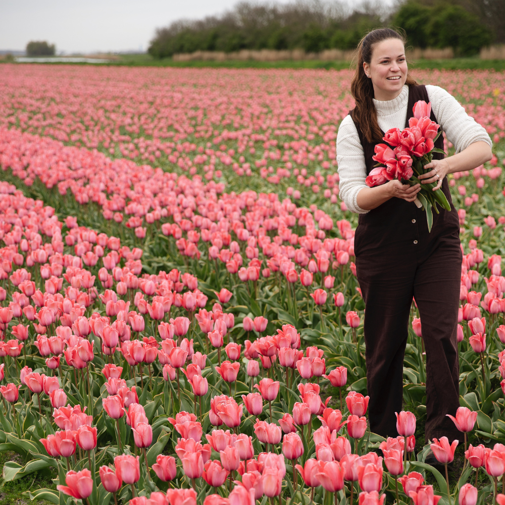 Tulp 'Design Impression' BIO