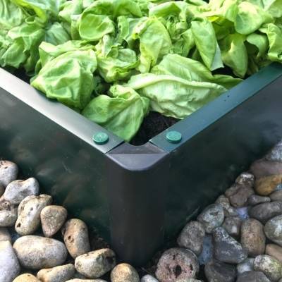 Moestuinbak 15 cm hoog - 1 meter breed (kies lengte) - Plukkers.com
