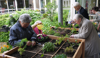 Wim Boers : Moestuinieren met een beperking