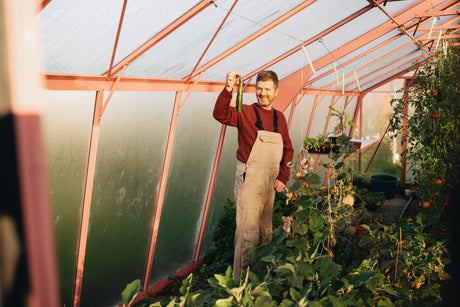 🗓️ Zaaien in juni: moestuinkalender