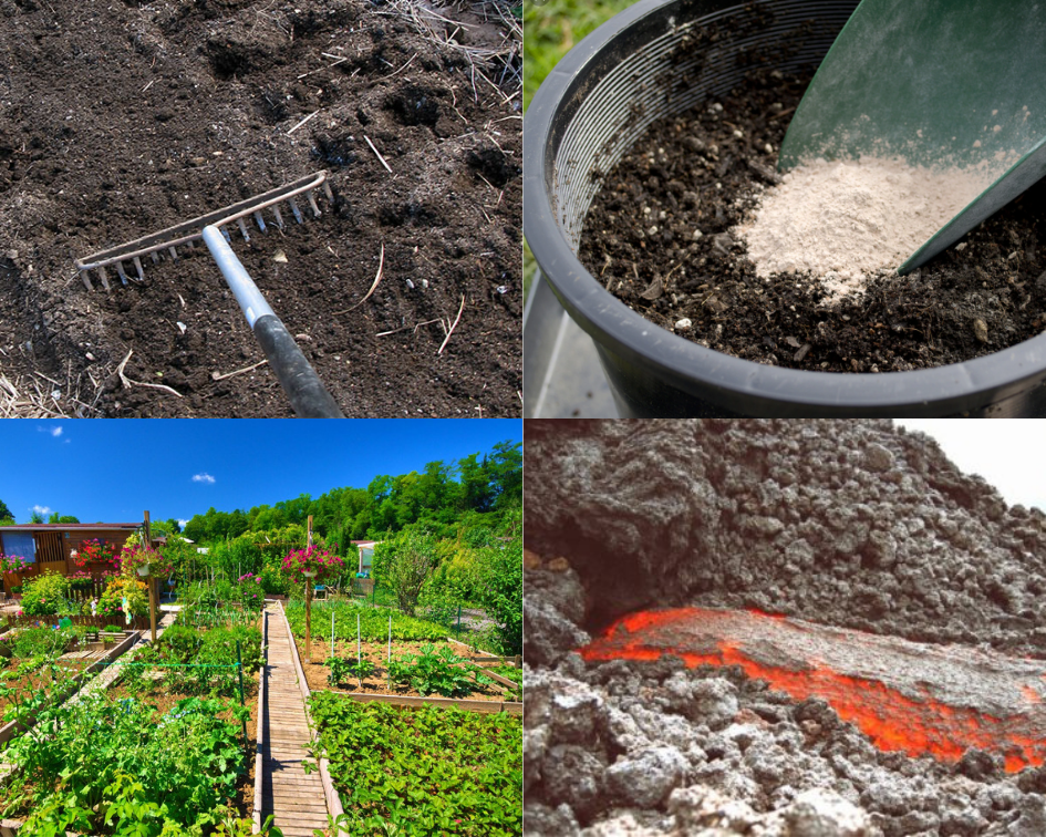 Lavameel gebruiken in de moestuin - deel van dé moestuin succesformule