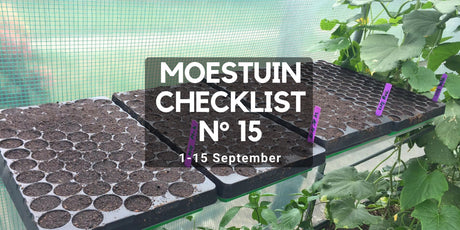 moestuin september