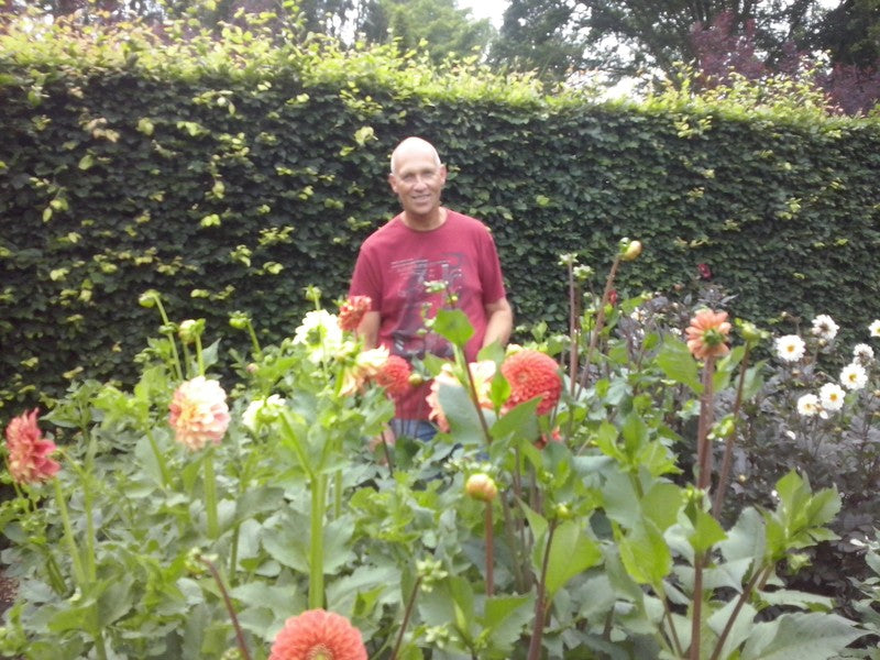 Bloemen in de moestuin