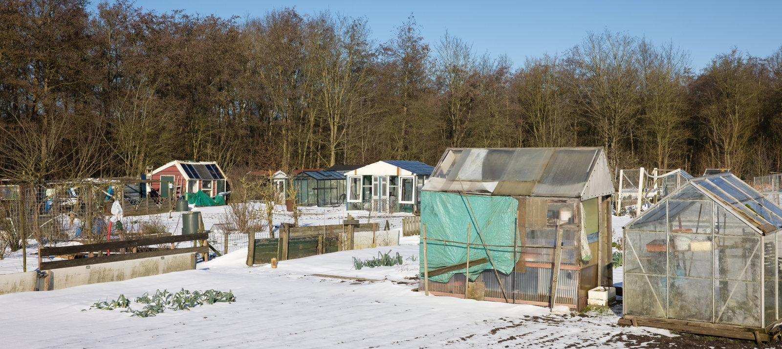 Een beeld van de moestuin in januari