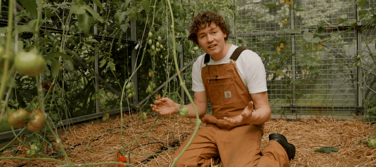 Juli zaaikalender Plukkers