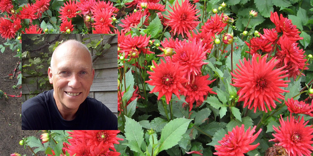 Dahlia's - Wim vertelt alles over dahlia's