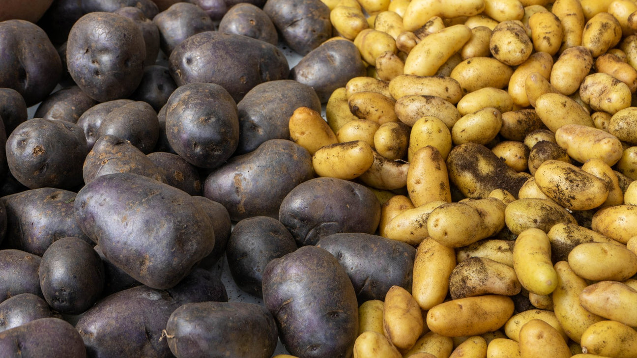 Pootgoed aardappelen Moestuinweetjes