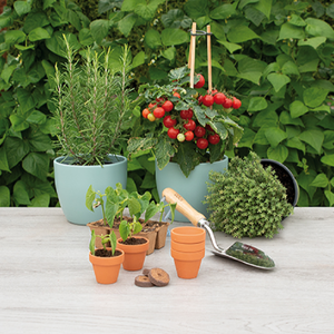 Pots