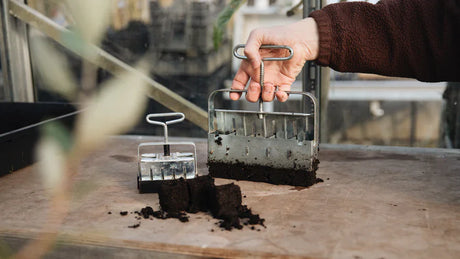 voorzaaien voor de moestuin