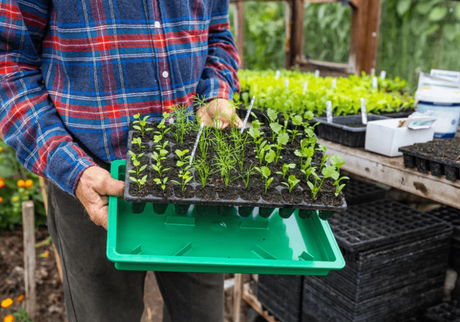 Moestuinspullen