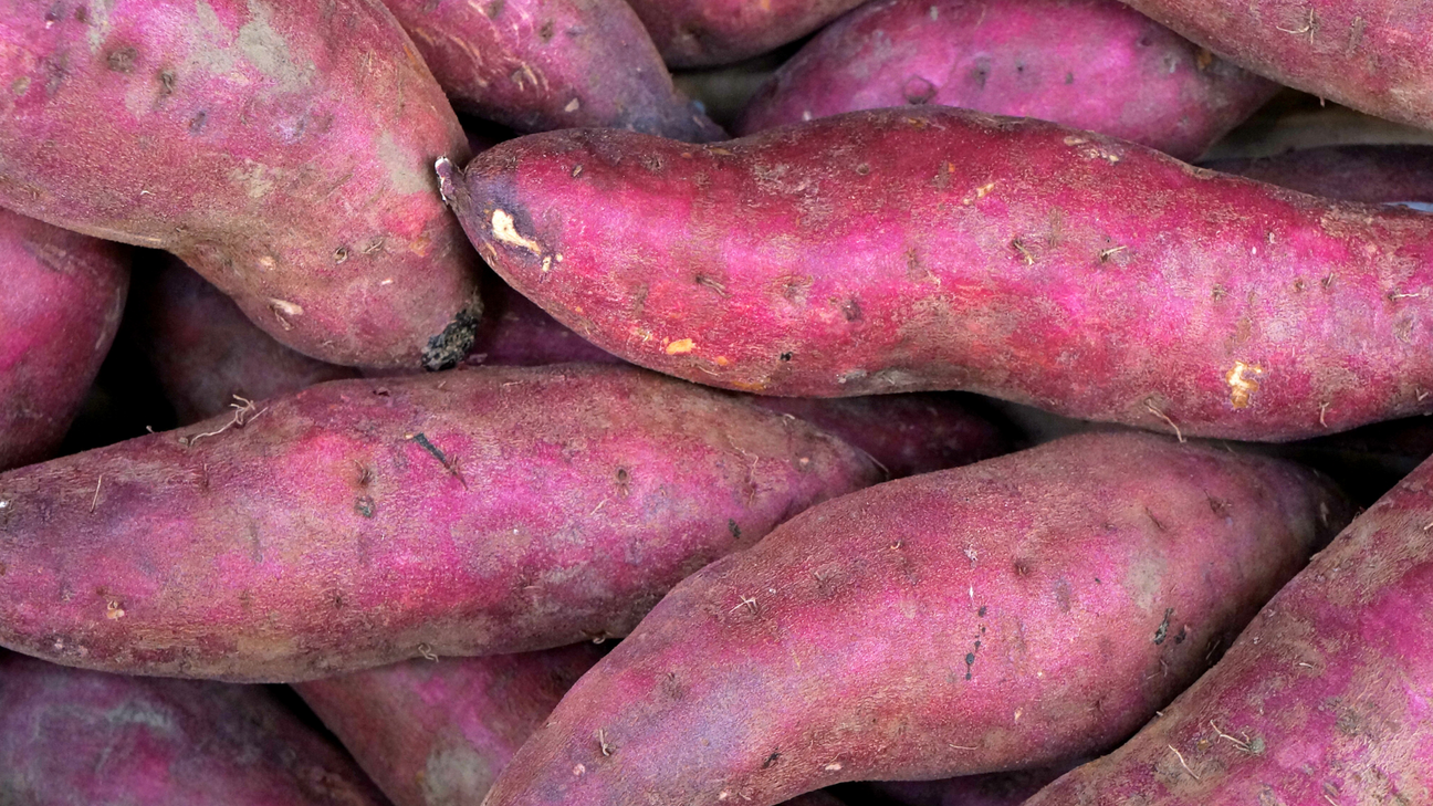 Zoete aardappel planten