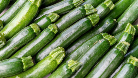 Courgette zaad