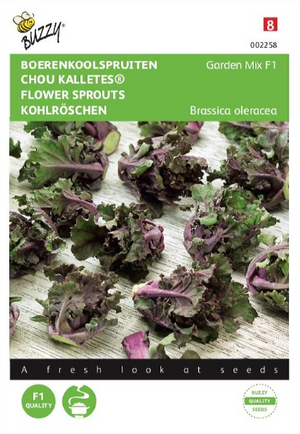 Boerenkoolspruitjes. Kalettes Garden Mix F1 25 zaden