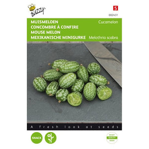 Cucamelons Mäusemelone 15 Samen Buzzy Seeds 