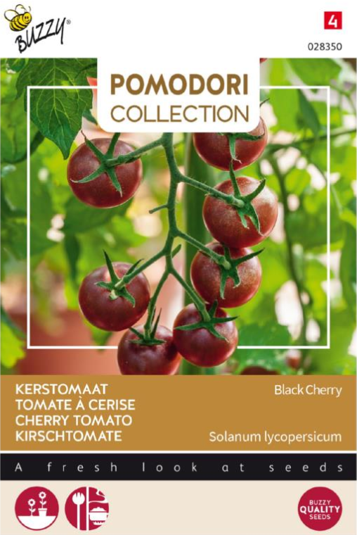 Kirschtomate schwarz Black Cherry - 10 Samen